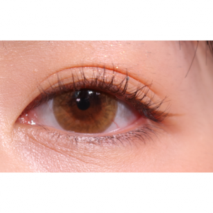 LENSME Megalook Fallin Brown(月拋)